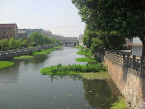 城市水污染治理的困境与路径探索