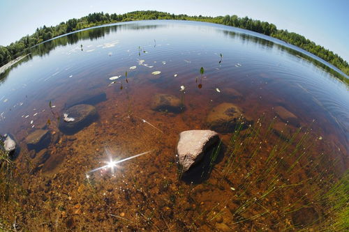 中国环境水污染治理的主要研究机构及其贡献