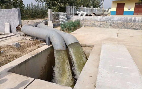 九户镇多措并举筑牢生态屏障 扎实推进秸秆禁烧与水污染治理工作