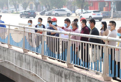 谢岗人大 强化监督职能，组织代表视察水污染治理工作